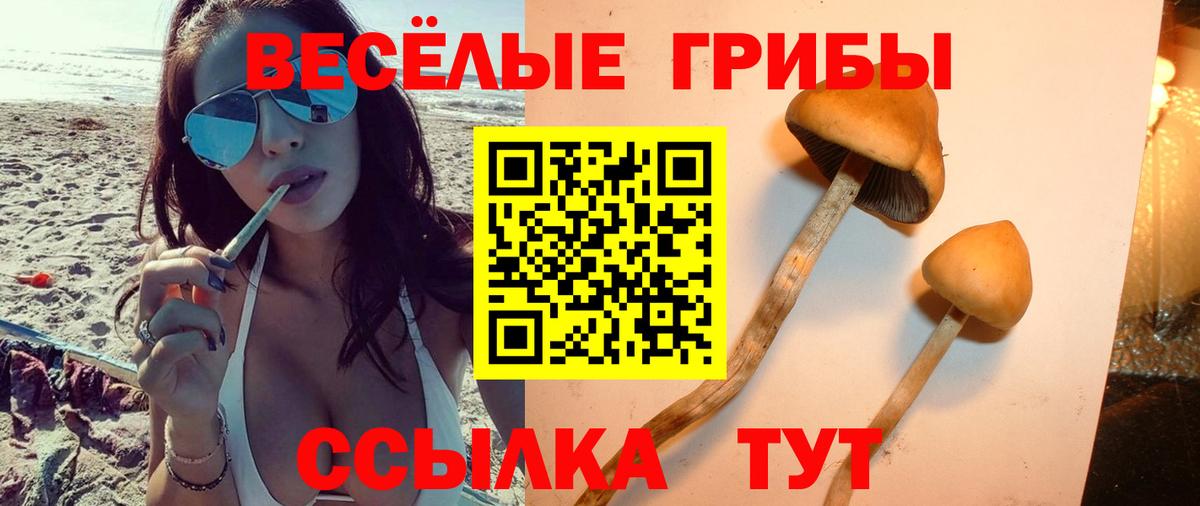 Псилоцибиновые грибы мухоморы Гулькевичи
